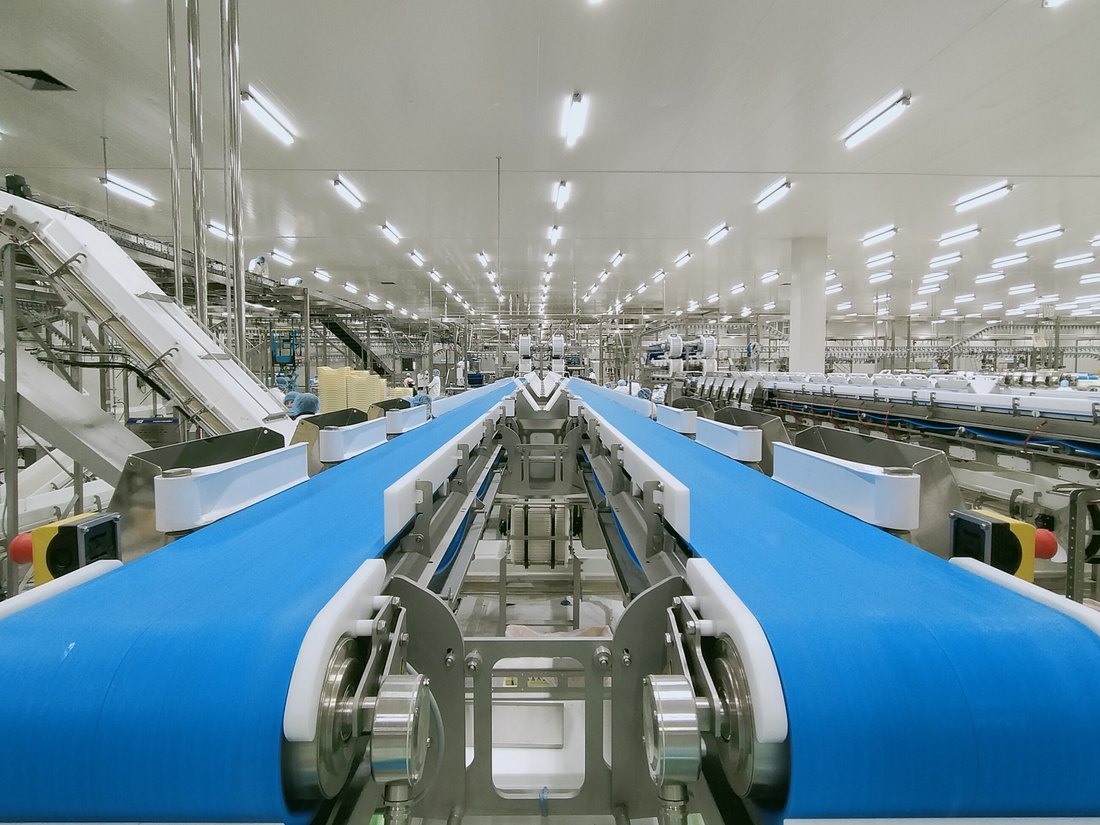 Conveyor lines running the length of a modern poultry processing hall