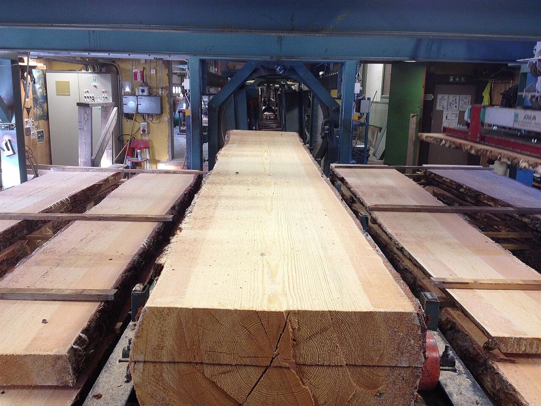Pine timber on a sawmill production line